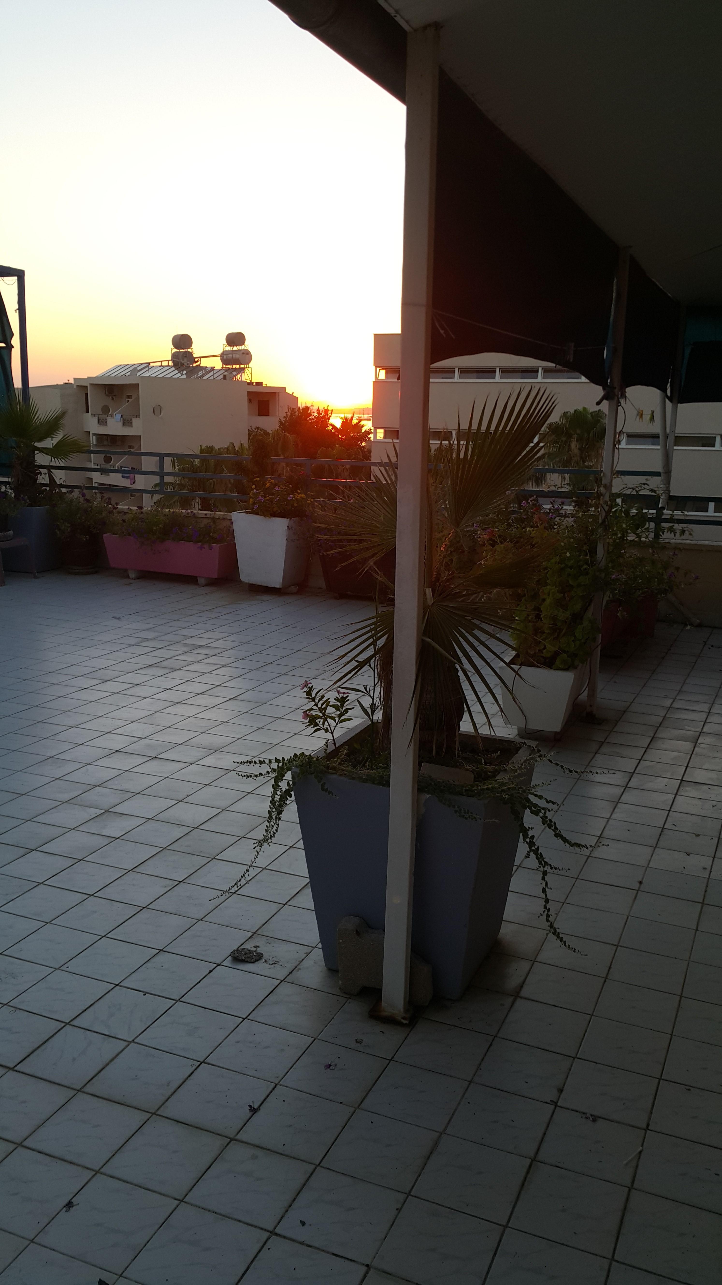 סייד Delphin Apart Hotel מראה חיצוני תמונה